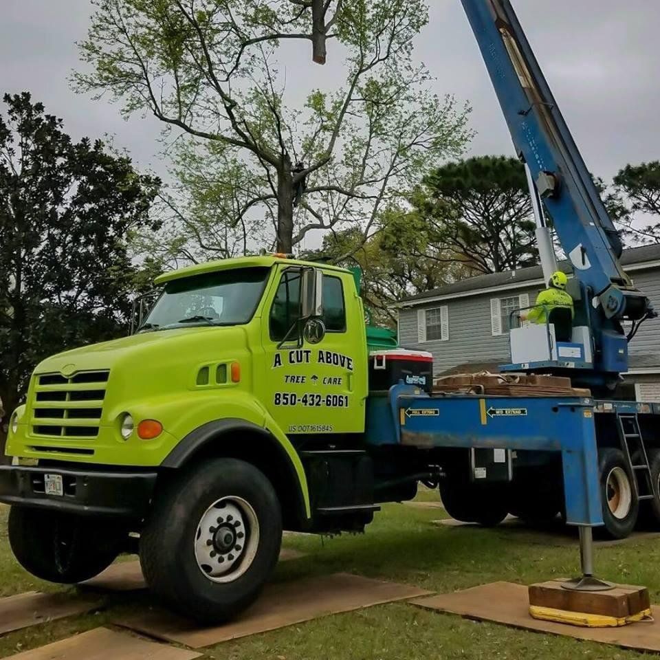 Lime green tree service truck with a crane removing a tree branch, residential setting.