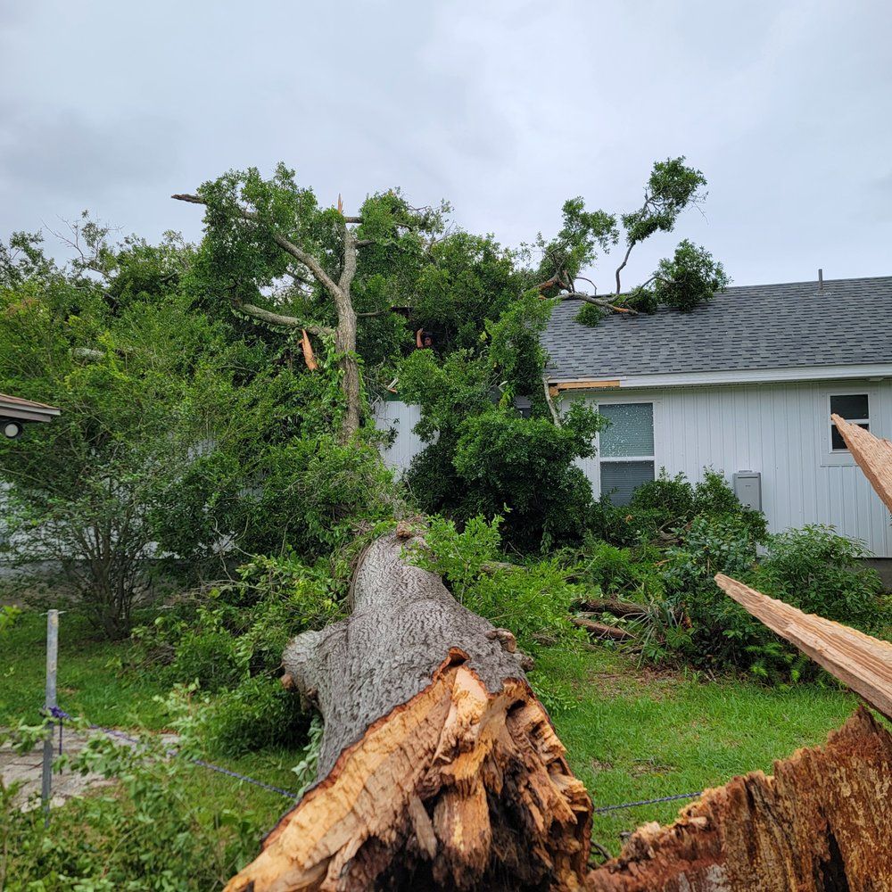Fallen tree on a white house with green foliage, damaged roof, overcast day.