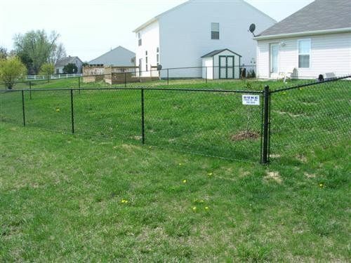 Black chain-link fence surrounding a grassy backyard with a gate