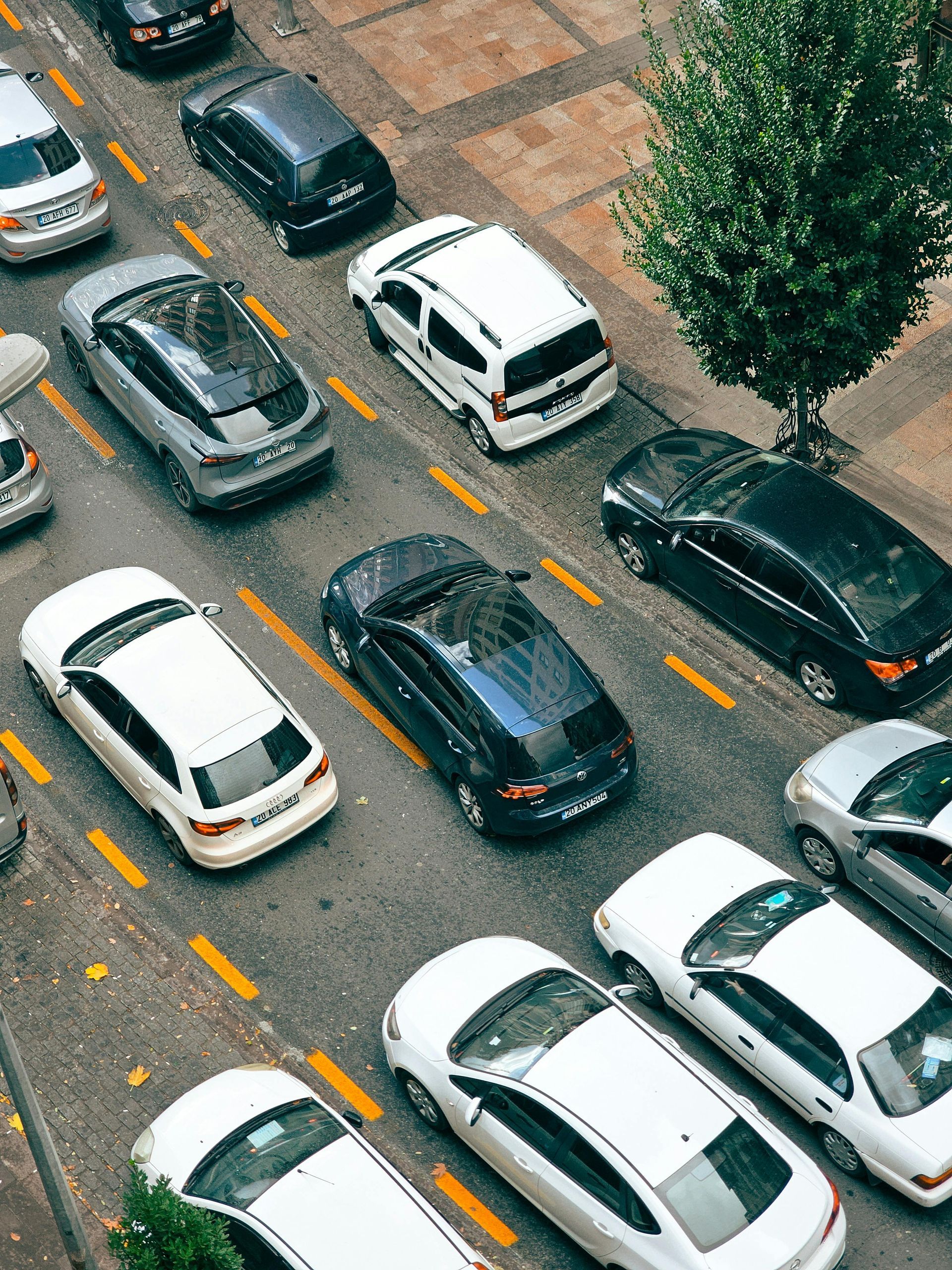 Aerial view of cars lined up on a wet street with a tree along the curb.
