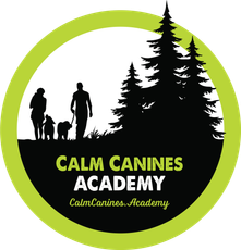 Calm Canines Academy
