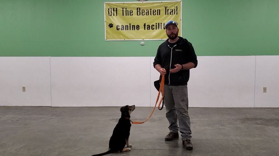 Jeff teaching a dog loose leash course
