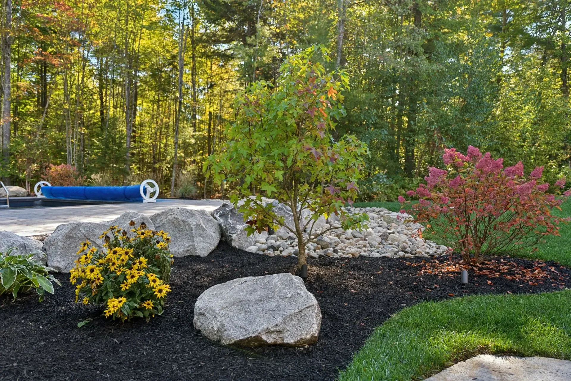 Landscaped garden with large rocks, mulch, and colorful plants; trees in the background.