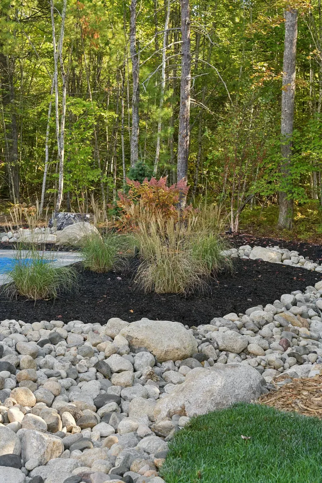 Rock garden with lush plants, dark mulch, and forest background.