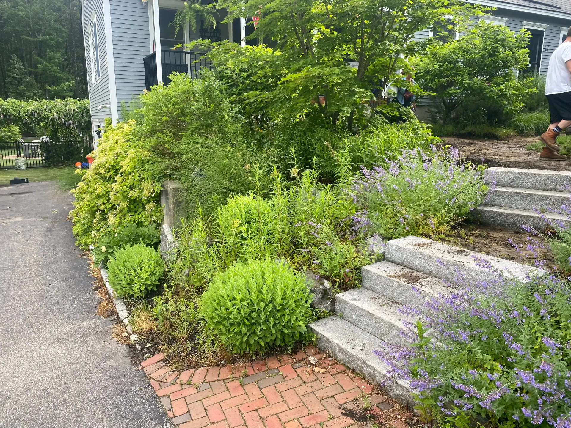 Stone steps lead up to a house with lush green landscaping. A person walks to the right.