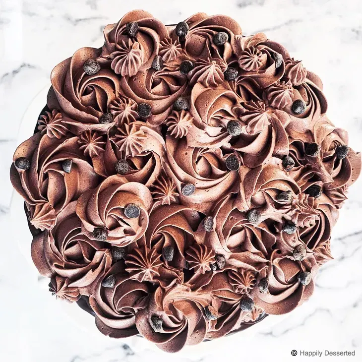 Top-down view of a chocolate cake lavishly frosted with swirls of chocolate buttercream and scattered mini chocolate chips.