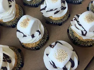 Cupcakes with graham cracker base, white frosting, toasted marshmallow, and chocolate drizzle.