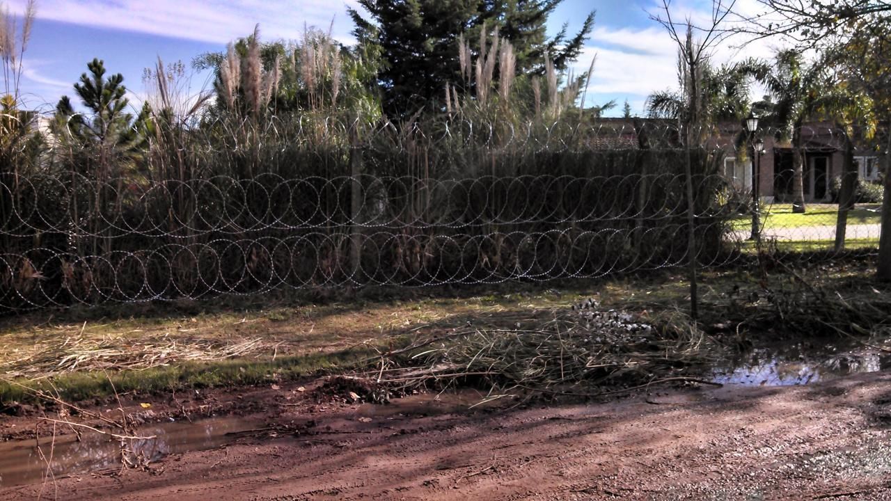 Valla de seguridad de alambre de púas frente a vegetación alta y edificios en un día soleado.