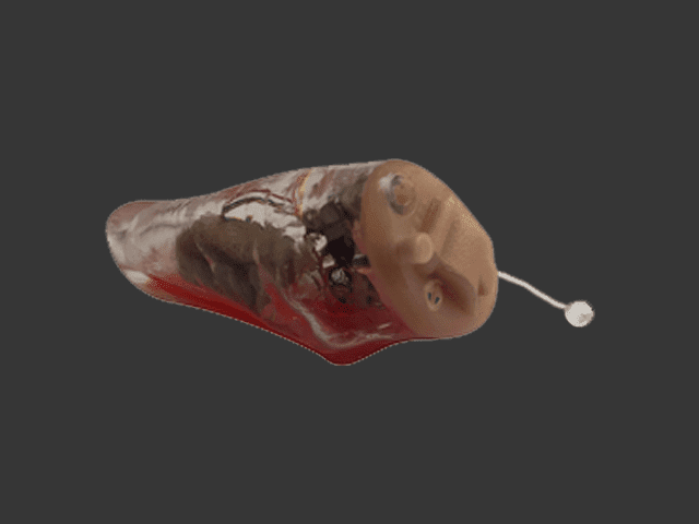 Custom Fitted Hearing Aids — Receiver Inside Ear Canal — Bend, OR