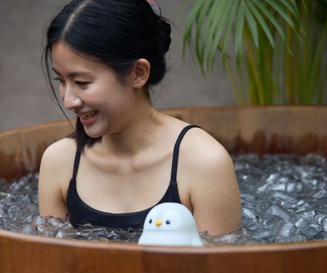 Rechill - Ice bath & Sauna in Bangkok