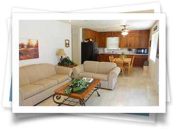 A living room with two couches and a coffee table