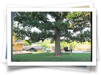 A person standing under a tree in a park