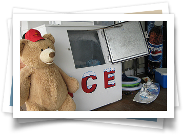 A teddy bear is standing in front of a machine that says ice