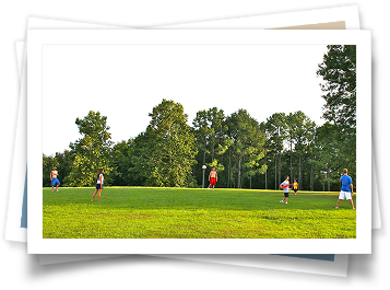 A group of people are playing frisbee in a park