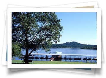 A picture of a lake with a dock and a tree in the foreground