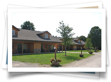 A row of houses with trees in front of them