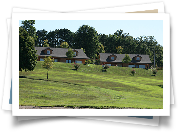 A row of houses sit on top of a lush green hillside