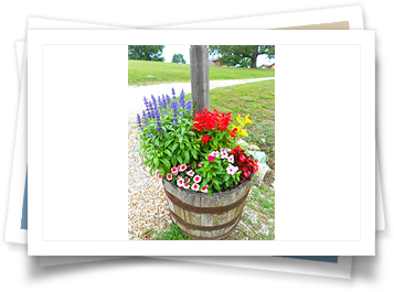 A wooden barrel filled with flowers is sitting next to a pole.