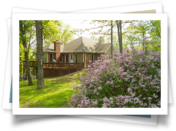 A picture of a house with purple flowers in front of it.