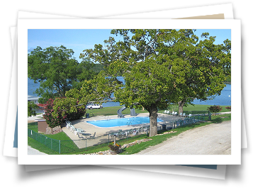 A picture of a swimming pool surrounded by trees