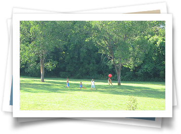 A group of children are playing in a park with trees in the background