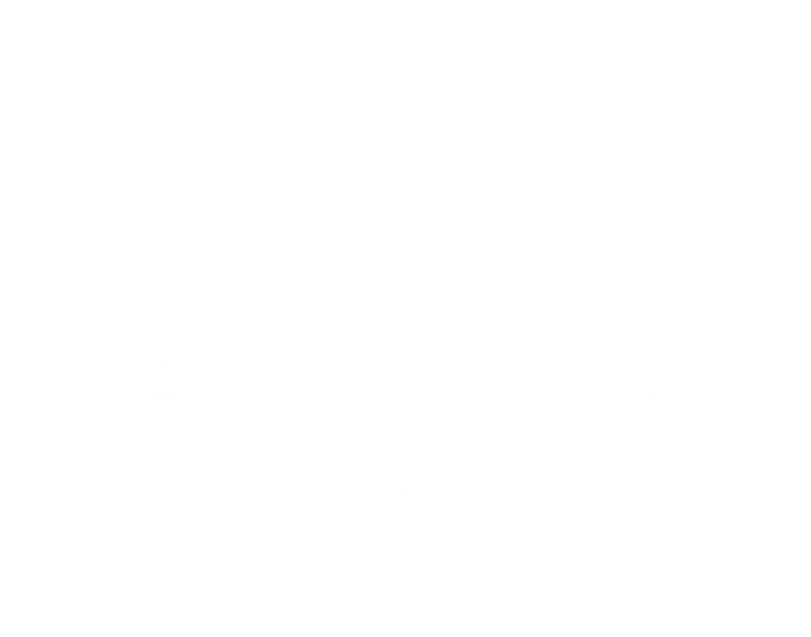 Sunshine State Professional Services Inc.