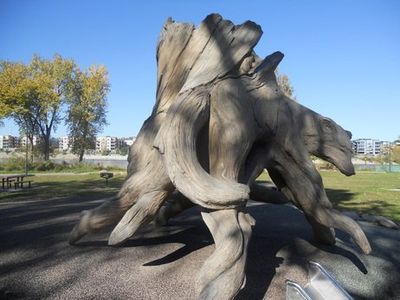 dead tree stump picture in st paul mn