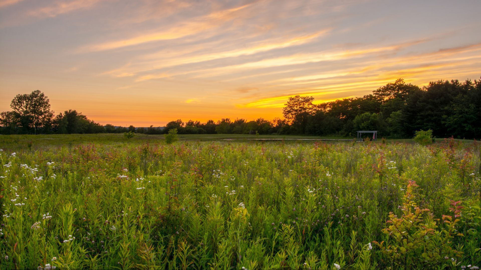 A fountain in a park with palm trees in the background