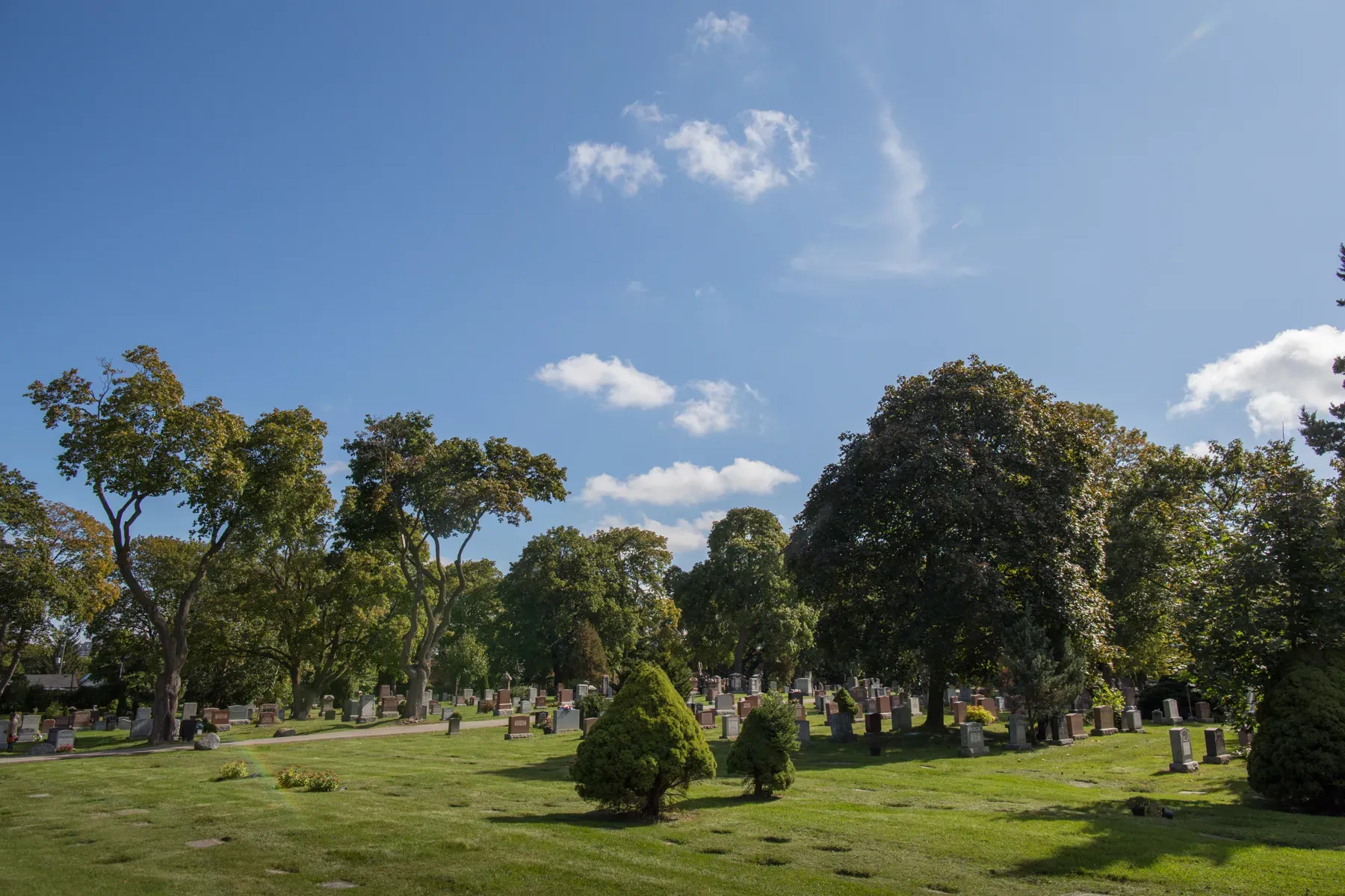 section-image