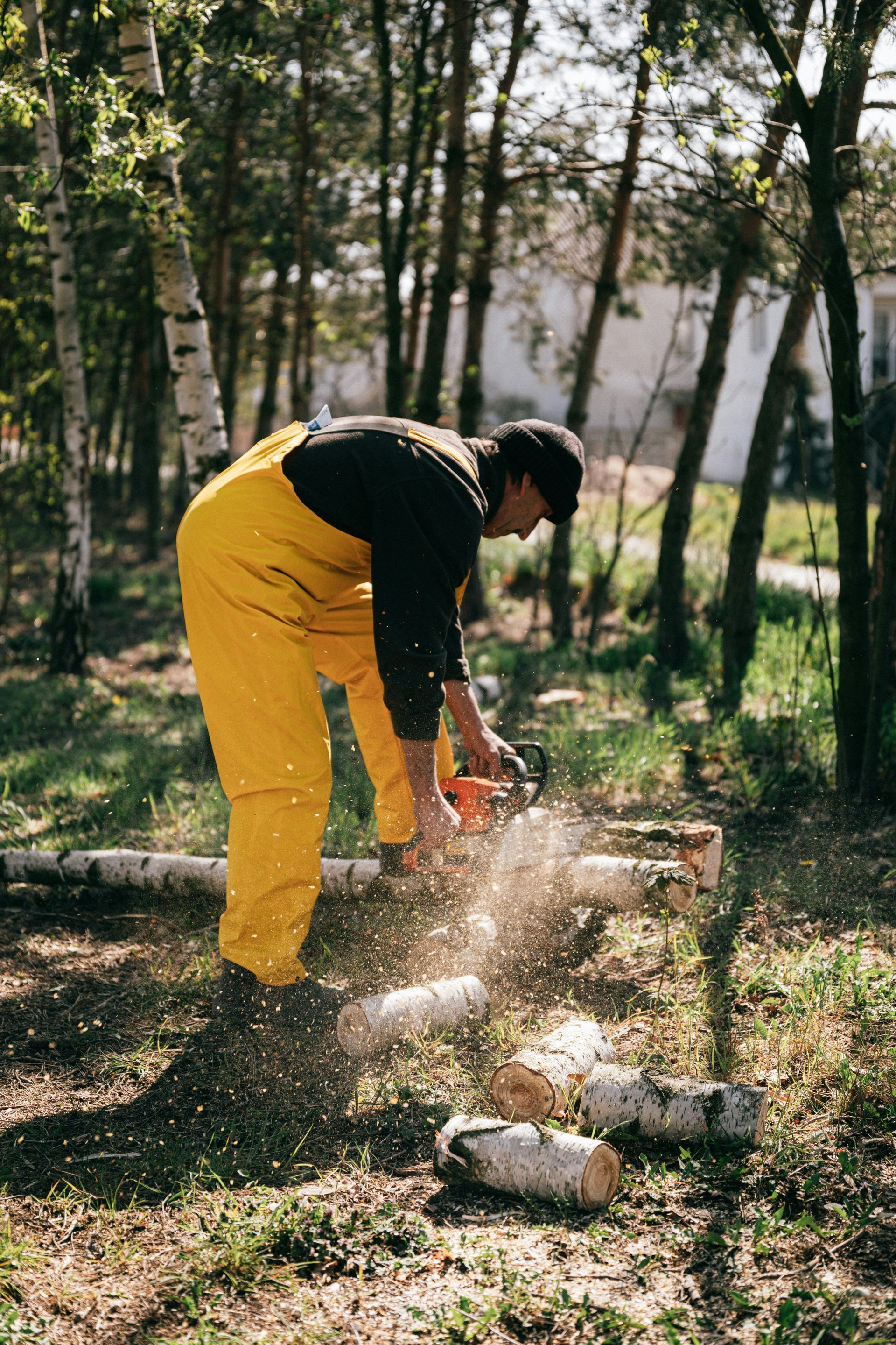 Man in yellow overalls using chainsaw on logs outdoors.