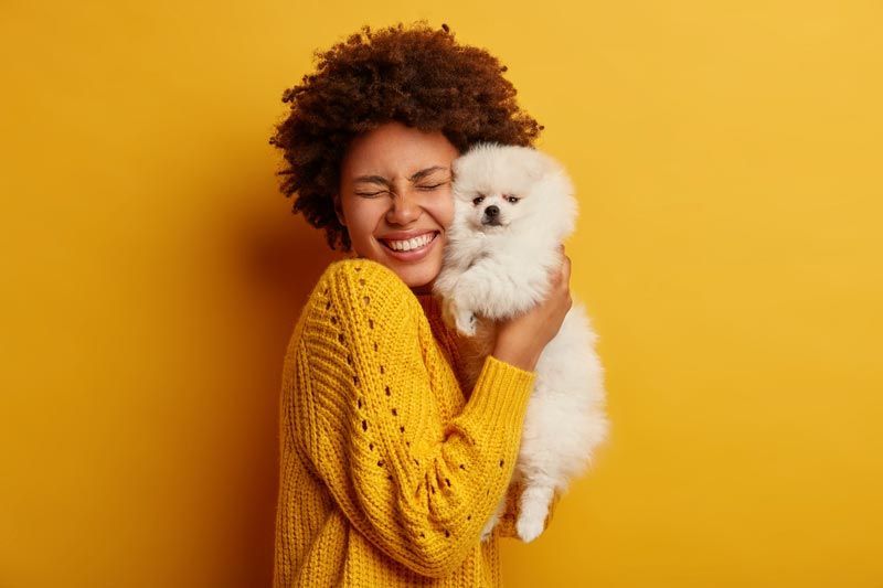 4 Reasons Why You Should Get a Pet Companion When Living in Apartments in Hartford, CT