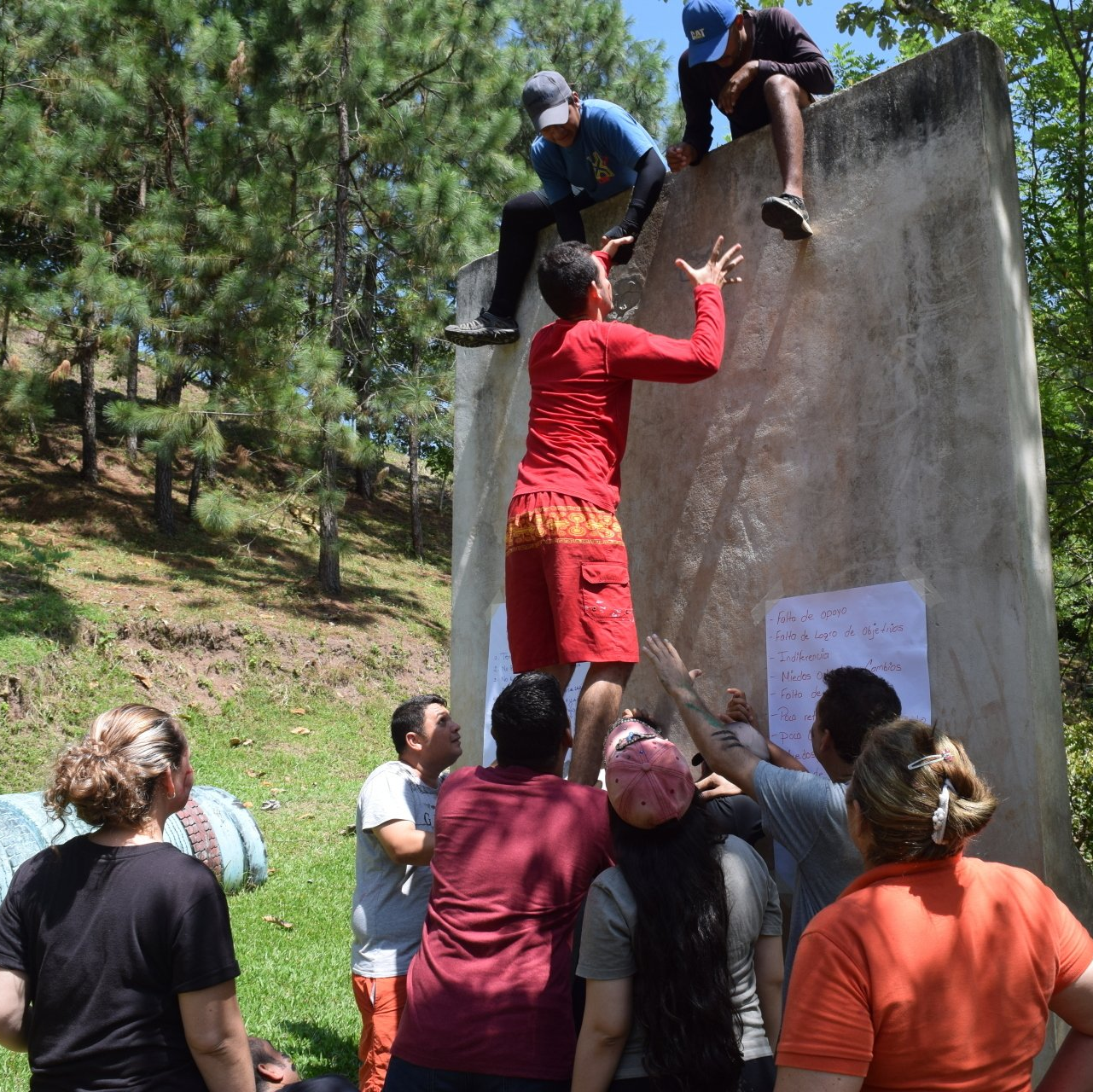 A team building exercise with people climbing over a wall while a group  catches them on the other side.