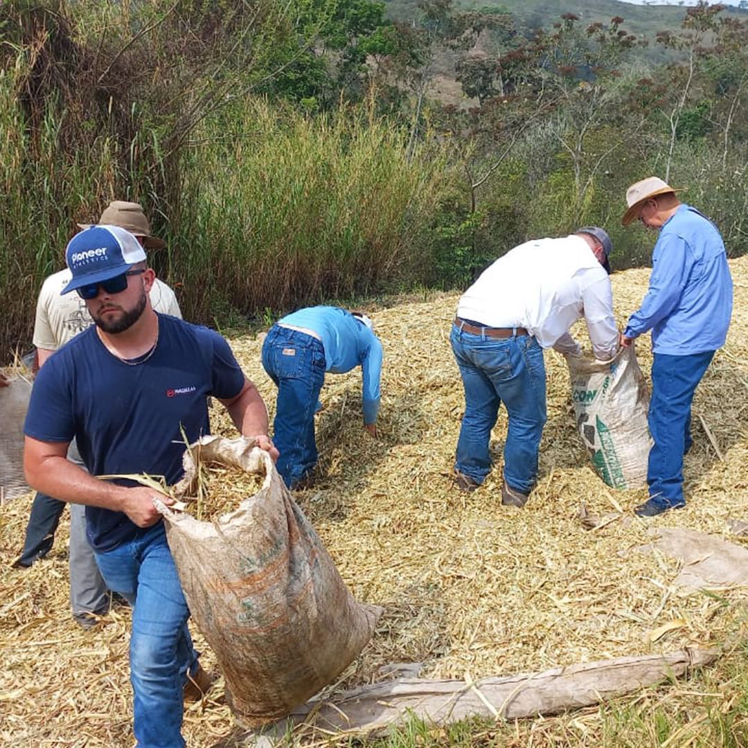 Team members pack hay into bags to be carried off.