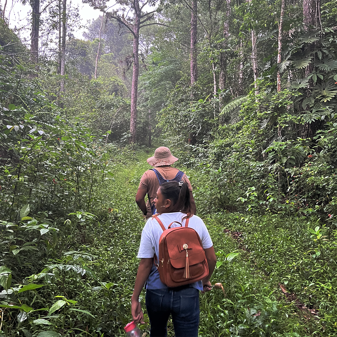 A group traveling through the rainforest in Honduras.