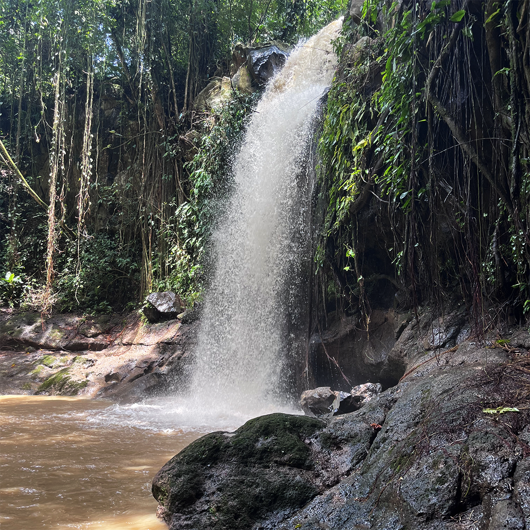 A waterfall in the Honduran jungle.