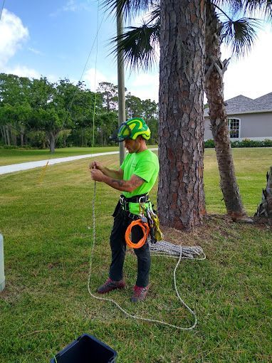 A man in a green shirt is standing next to a tree.