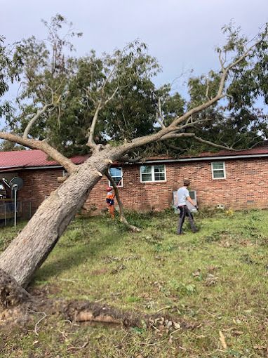 A person is standing in front of a house with a tree fallen on it.