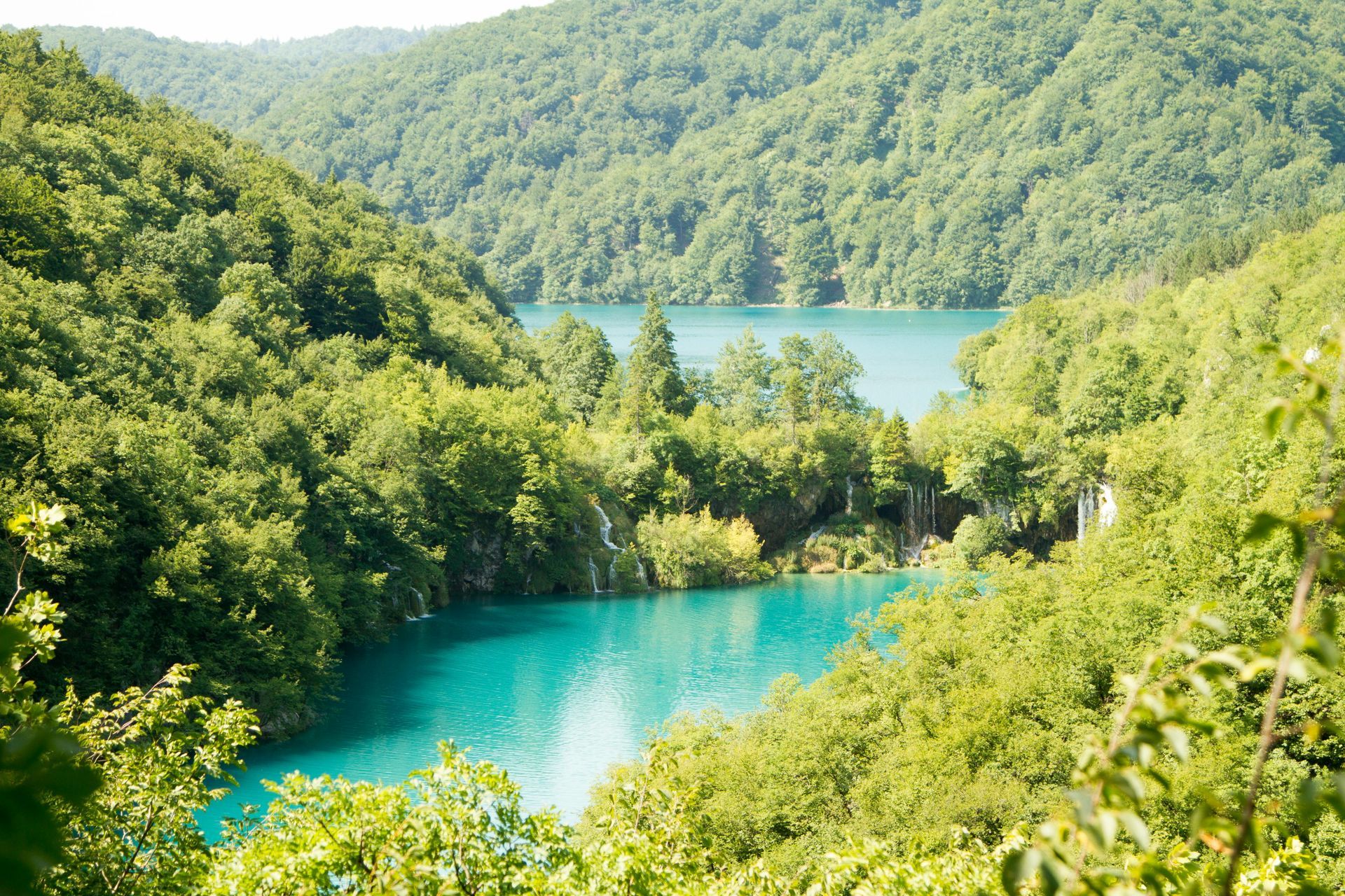 Lush green forest surrounds turquoise lakes in a valley.