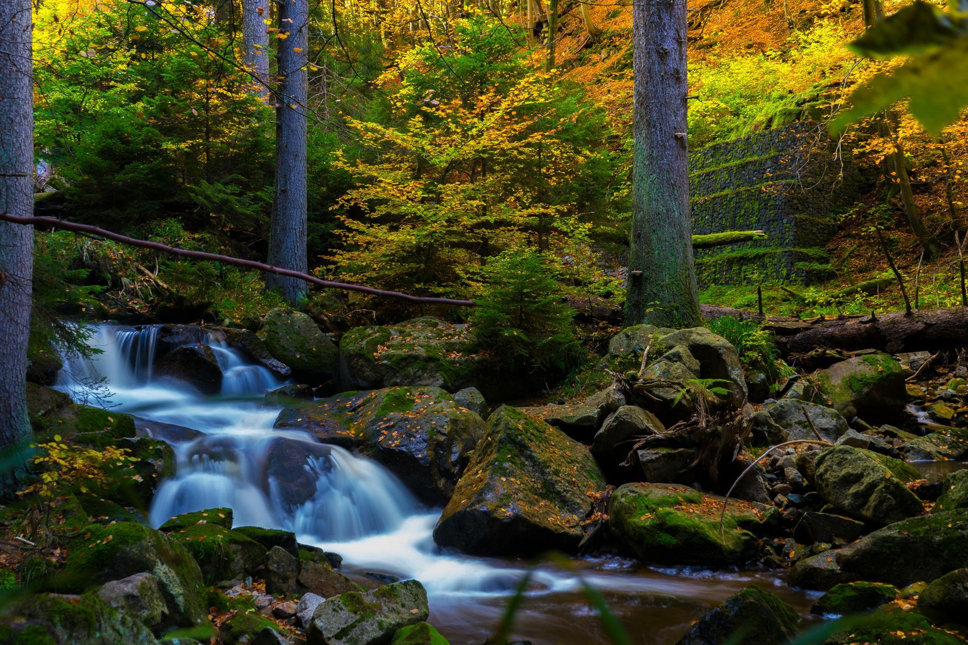 Stream flowing through a forest with rocks, trees, and autumn foliage.