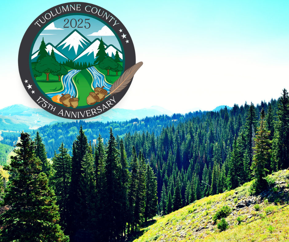 Tuolumne County 175th anniversary logo over mountain forest view.