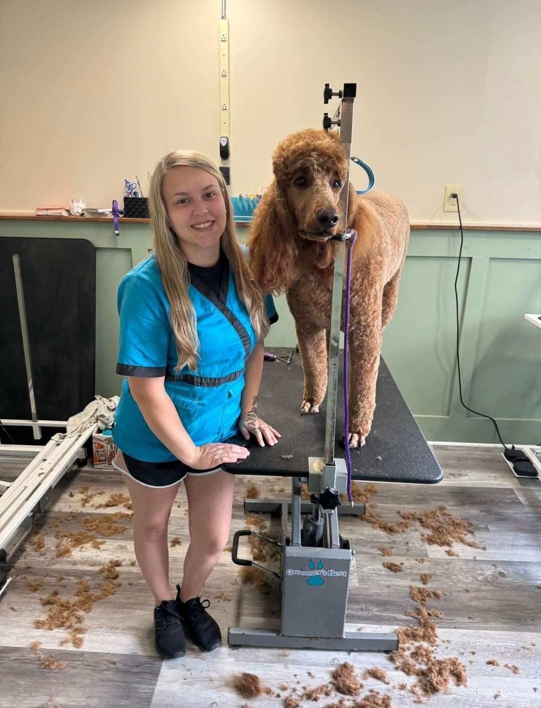 Dog Boarding & Dog Grooming Waynesville, OH Buckeye Select Kennels