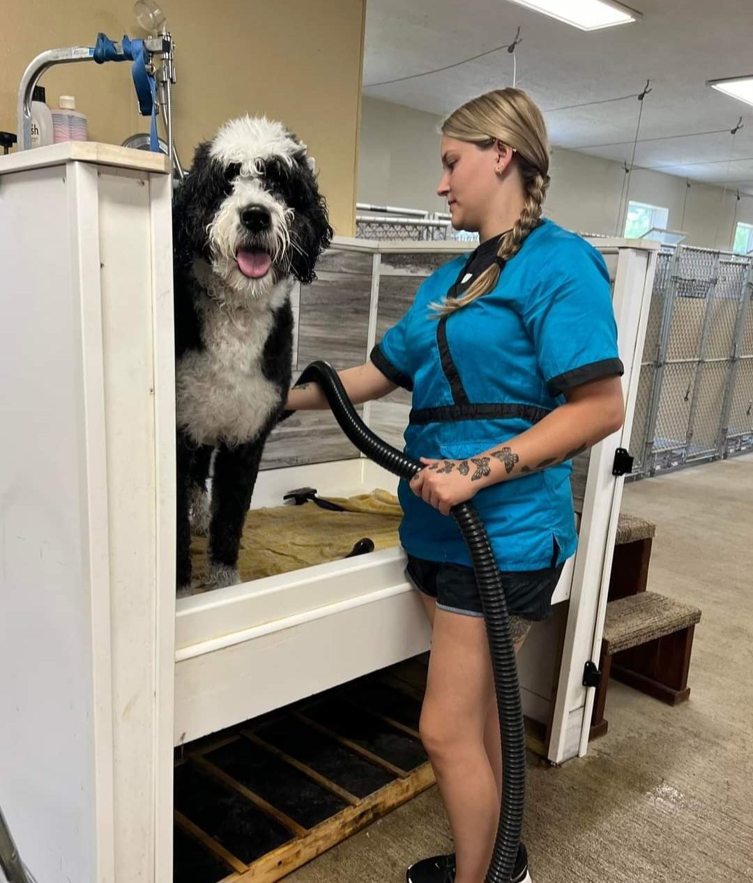 Dog Boarding & Dog Grooming Waynesville, OH Buckeye Select Kennels