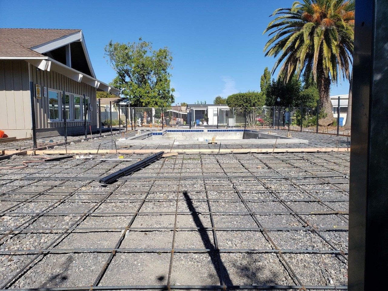 A concrete driveway is being built in front of a house with a palm tree in the background.