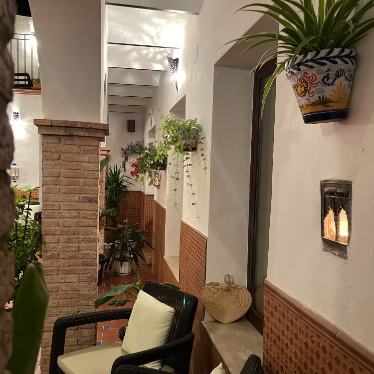 A room with a chair and potted plants on the wall