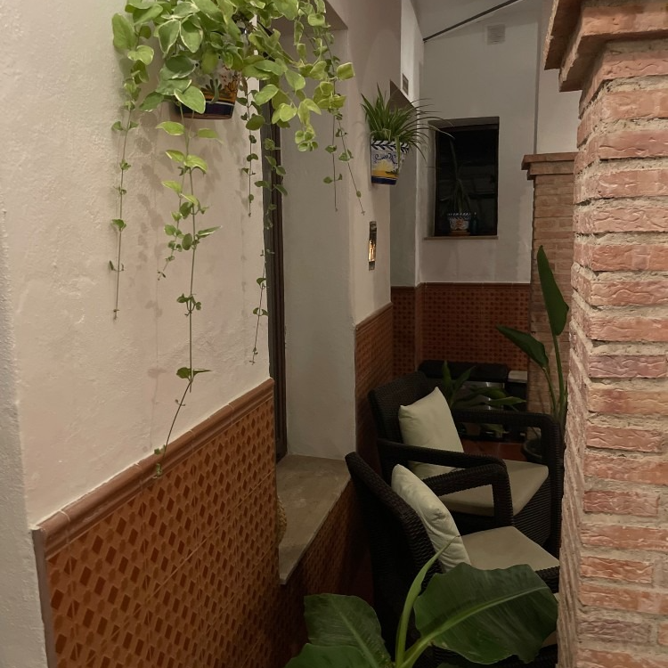 A brick wall with a chair and a plant on it