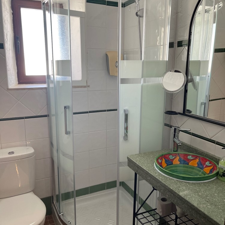 A bathroom with a toilet a sink and a shower