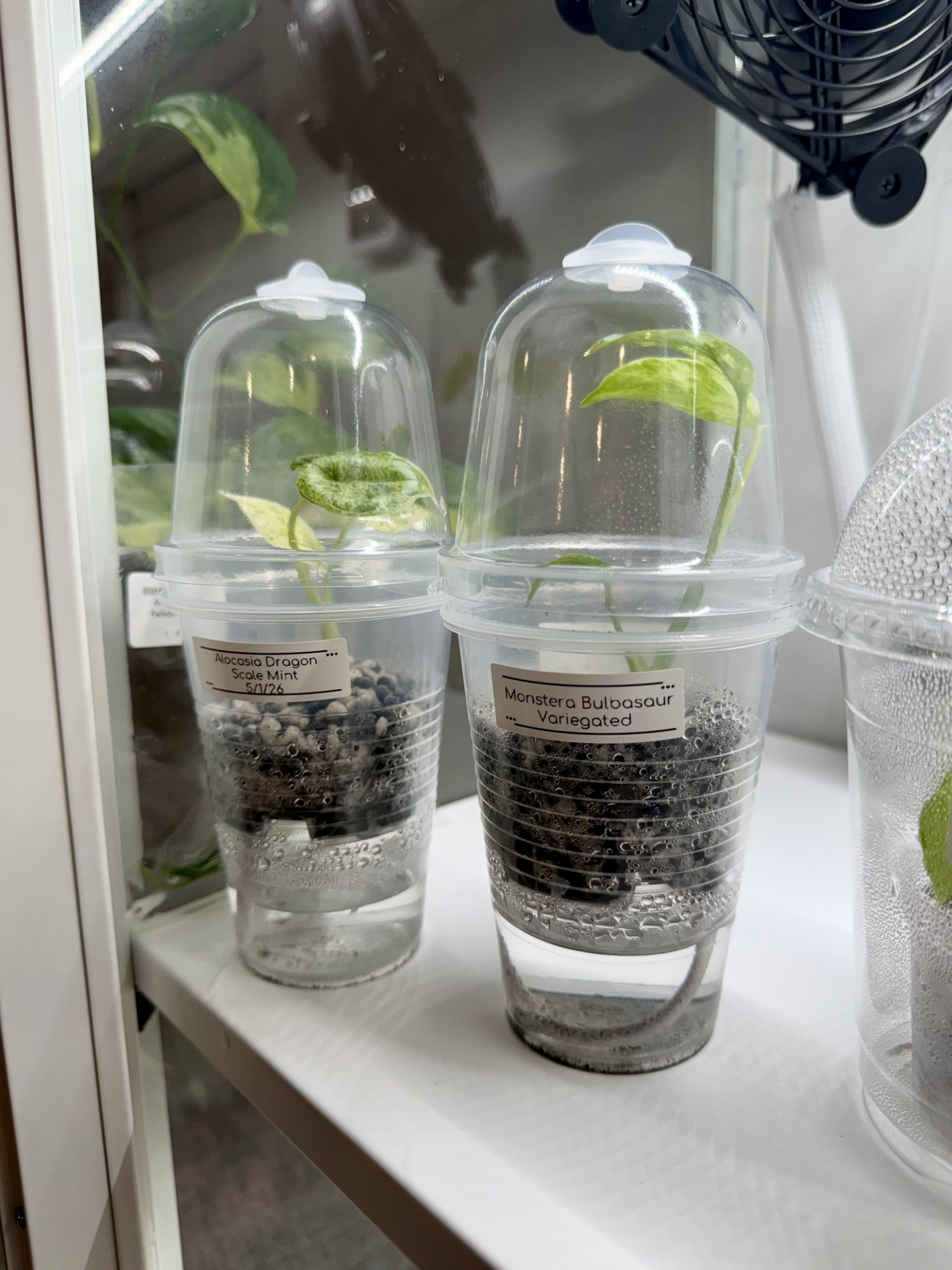 Acclimation Kits