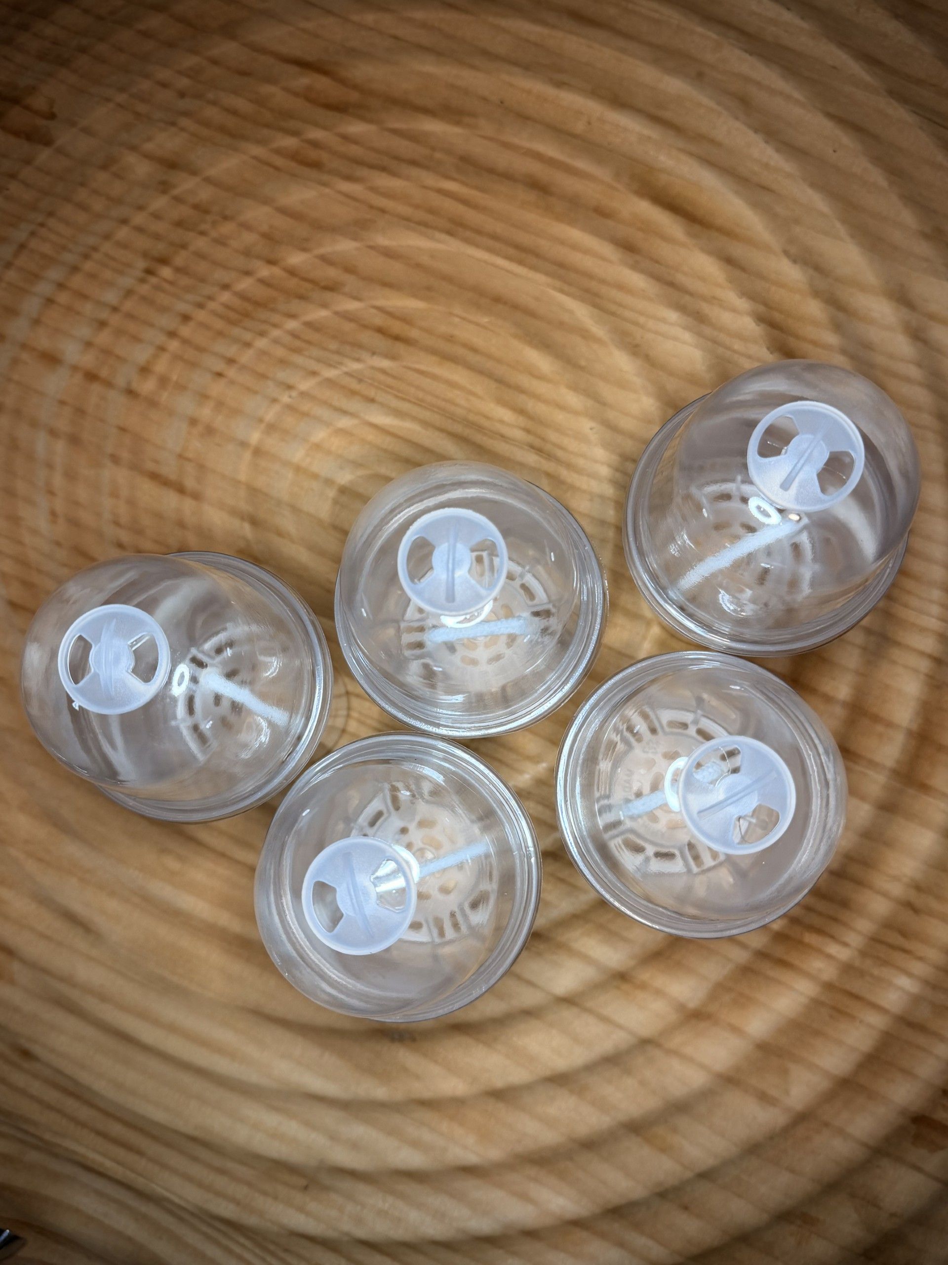 Complete 5-pack Tissue Culture Acclimation Kit