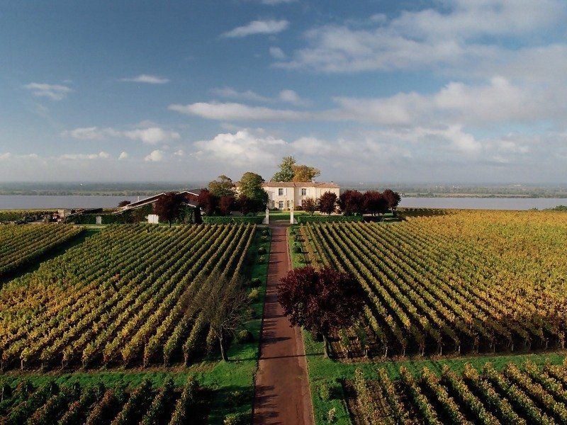 An aerial view of a vineyard with a house in the background