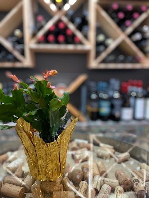 A plant in a yellow pot is sitting on a table surrounded by wine corks.